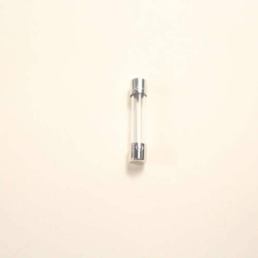 GE WB27X11138 Genuine OEM Fuse