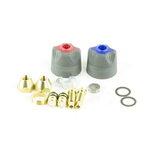Yellow Jacket 41081 TITAN 2-Valve Rebuild and Replacement Kit