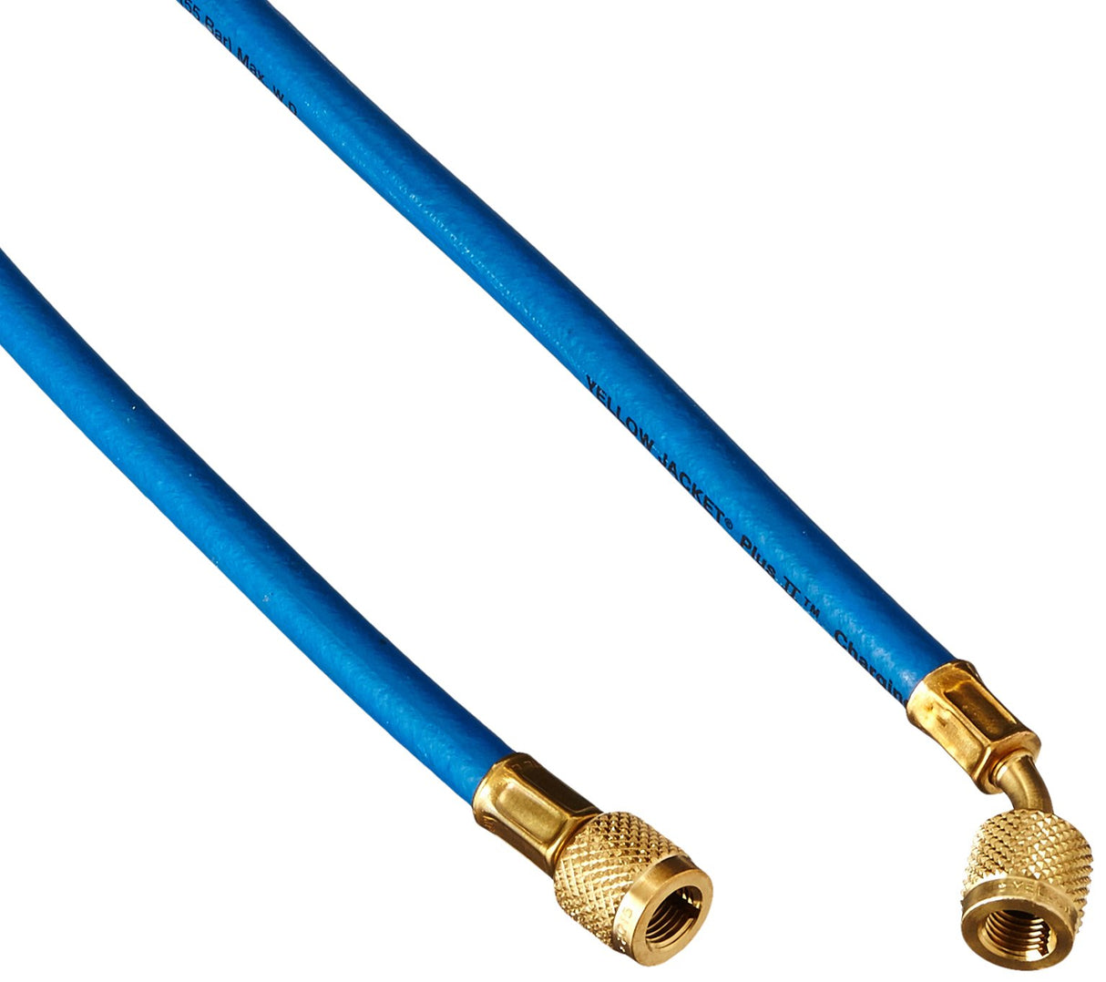 Yellow Jacket 21260 Plus II Hose Standard 1/4" Flare Fittings, 60", Blue