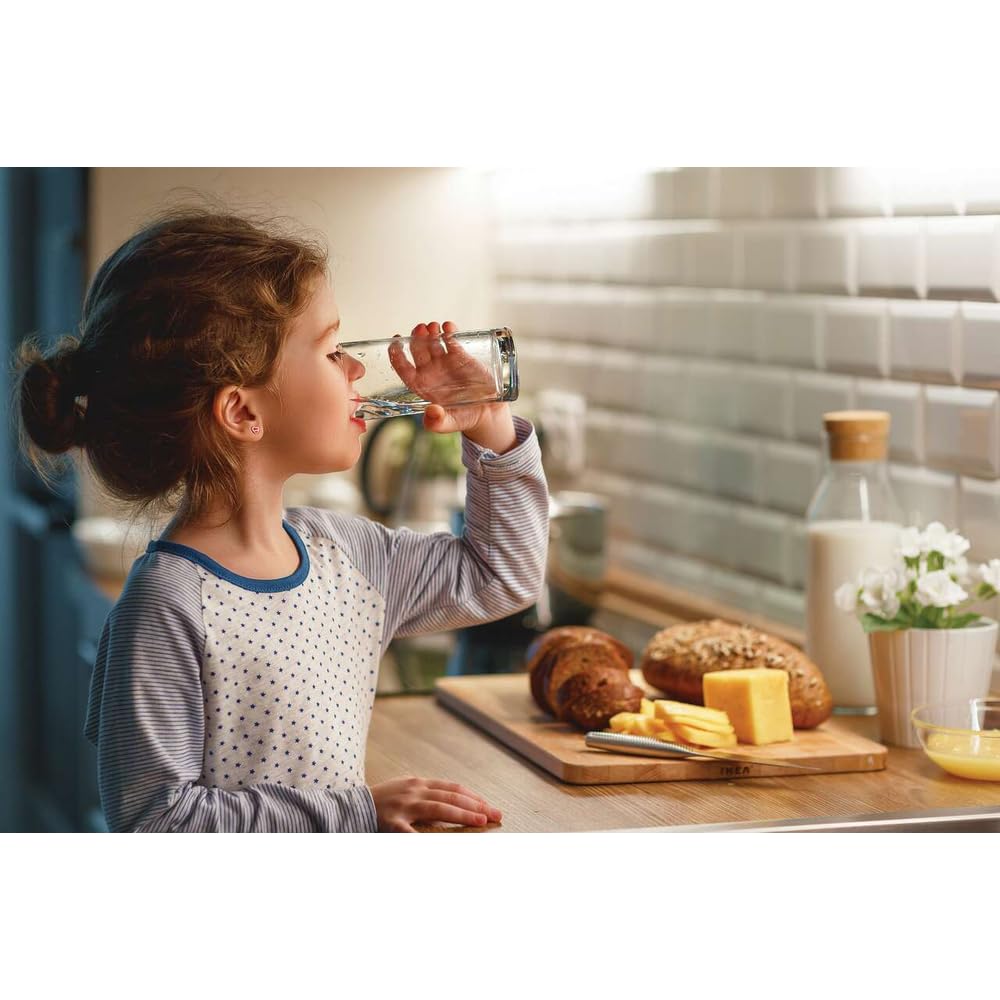 Frigidaire WF2CB PureSource2 Ice And Water Filtration System, White,1-Pack