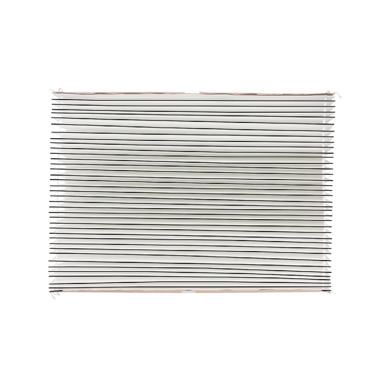 AprilAire 501 Replacement Filter for AprilAire 5000 Whole-House Air Purifier - MERV 15 Equivalent, 16x25x6 Air Filter