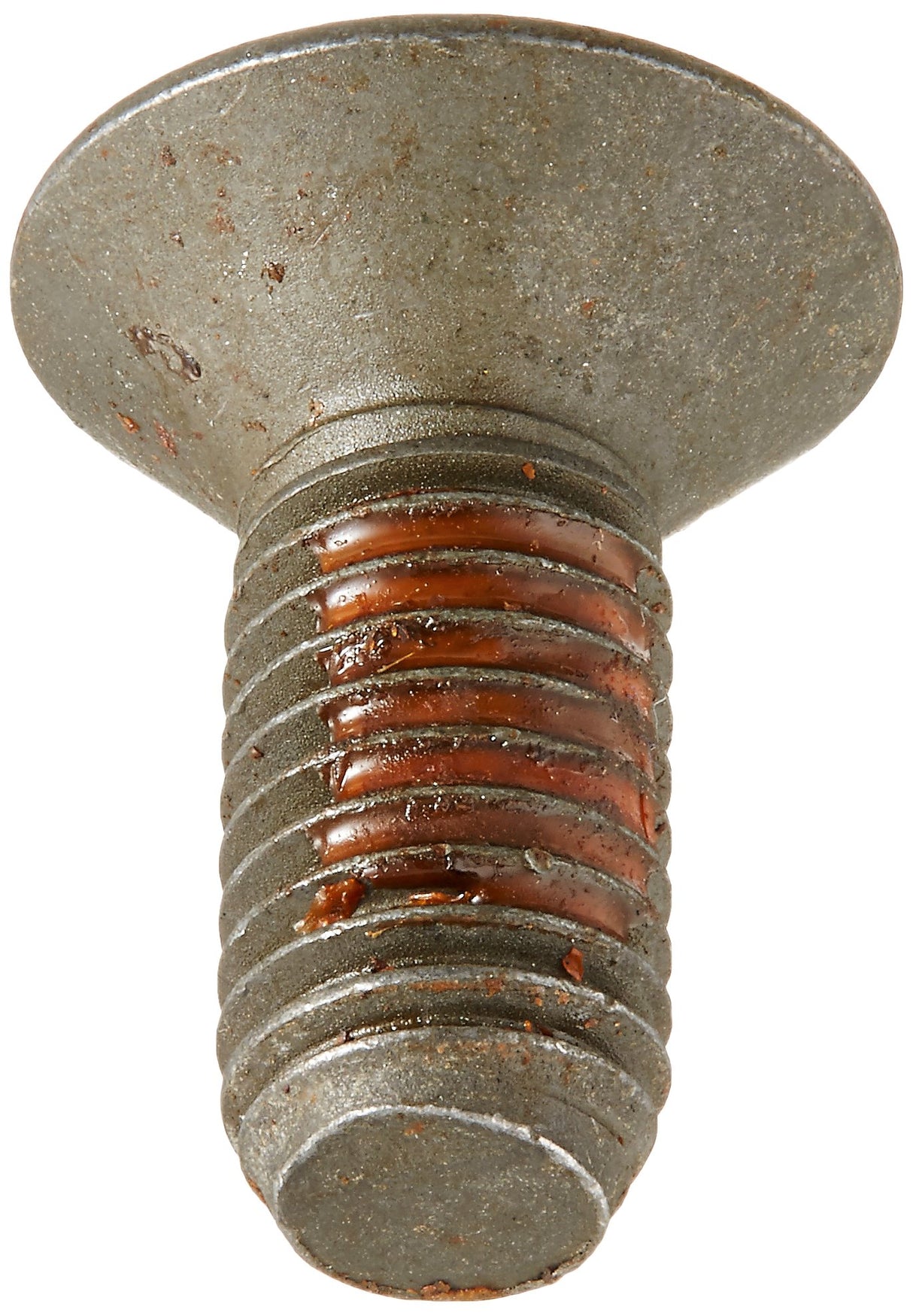 GENUINE Electrolux 134408400 Screw - Replacement