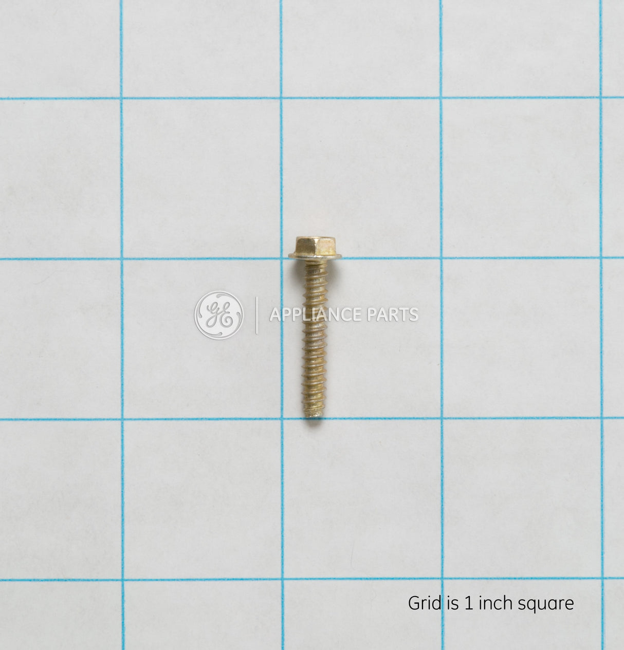 GE WH02X10282 Genuine OEM Scr 8-18 B Ihw 1 S