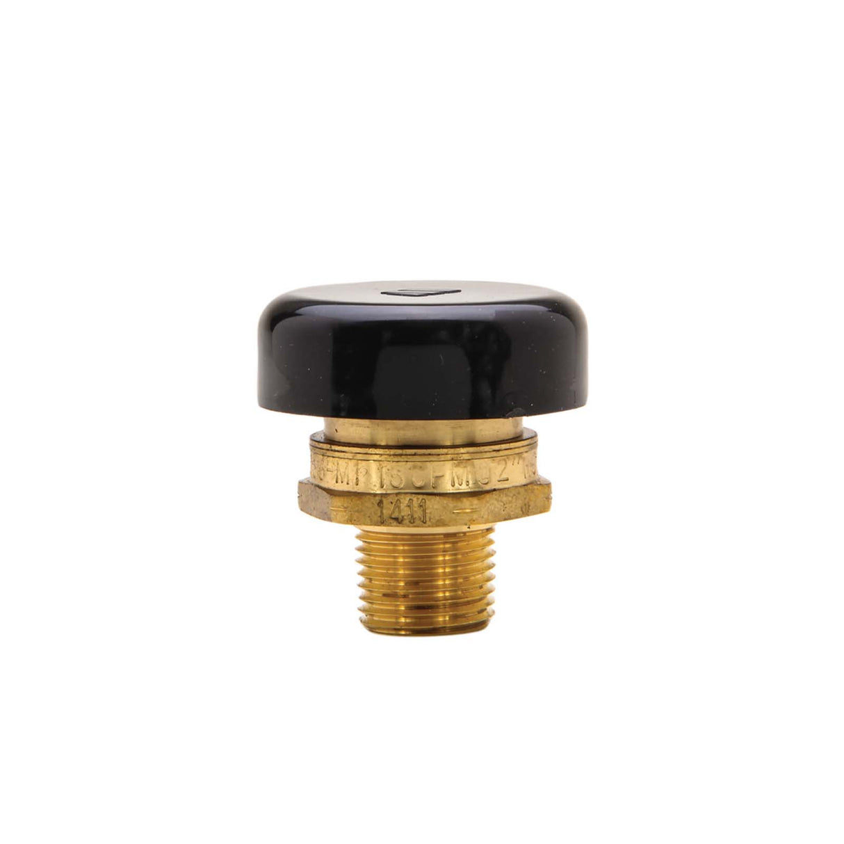 Watts LFN36M1 1/2" MNPT Brass (Lead Free) Vacuum Relief Valve