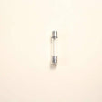 GE WB27X11138 Genuine OEM Fuse