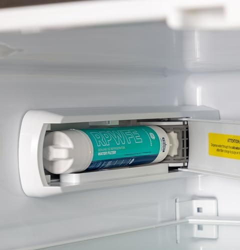 GE RPWFE Refrigerator Water Filter | Certified to Reduce Lead, Sulfur, and 50+ Other Impurities | Replace Every 6 Months for Best Results | Pack of 1