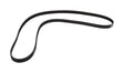 Whirlpool WP8540101 Genuine OEM Front Load Washer Drive Belt