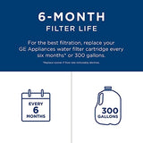 GE Filters RPWFE replacement part