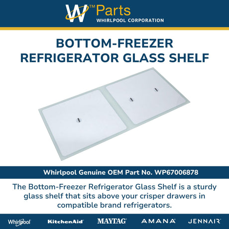 Bottom-Freezer Refrigerator Glass Shelf