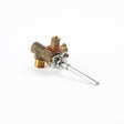 GE WB19T10087 Genuine OEM Valve Dual