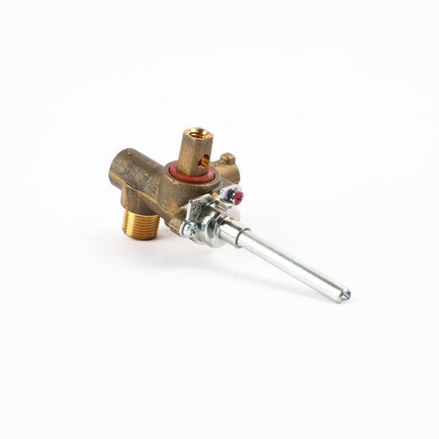 GE WB19T10087 Genuine OEM Valve Dual