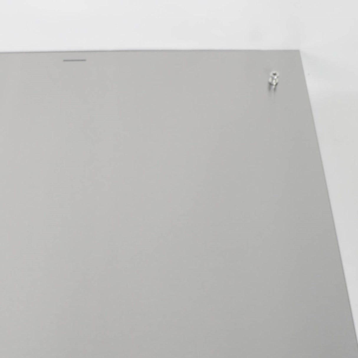 GE WD27X34729 Genuine OEM Stainless Outer Door Panel Fs