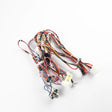 GE WE08X29053 Genuine OEM Harness Main Dryer Nv Elec 27