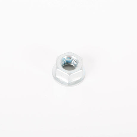 GE WH02X29041 Genuine OEM Nut Rotor
