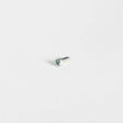 GE WR01X10772 Genuine OEM Screw Tapping