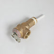 GE WS06X22864 Genuine OEM T-P Valve