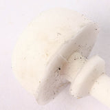 Samsung Refrigerator Caps & Lids DA63-02750A replacement part