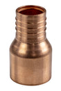 Sioux Chief 644X3 ADAPTER 3/4 FSWT X 3/4 PEX BARB