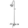 Sentinel Mark II S-1495-2255 Exposed Shower System with S-2255 Shower Head