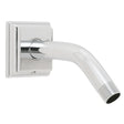 Rainier S-2550 Shower Arm and Flange