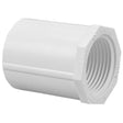 NIBCO L02465Y 1/2" Slip x FIP PVC Adapter
