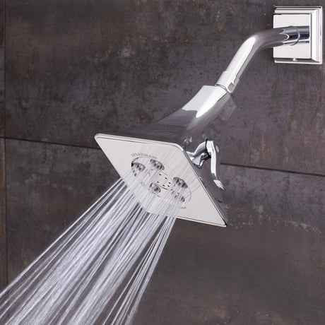 Rainier S-2550 Shower Arm and Flange