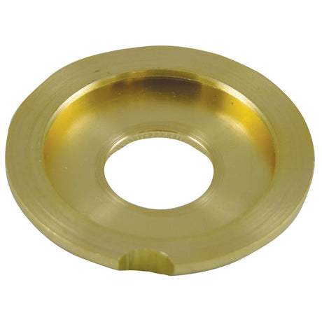 Delany #6 Auxiliary Valve Seat Holder For Flushboy Flush Valves