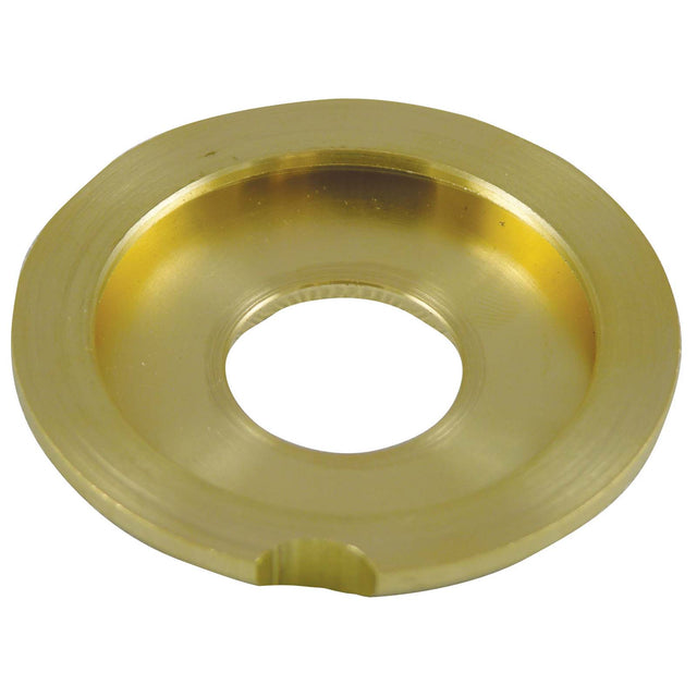 Delany #6 Auxiliary Valve Seat Holder For Flushboy Flush Valves