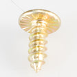 Whirlpool WP8281146 Genuine OEM Screw