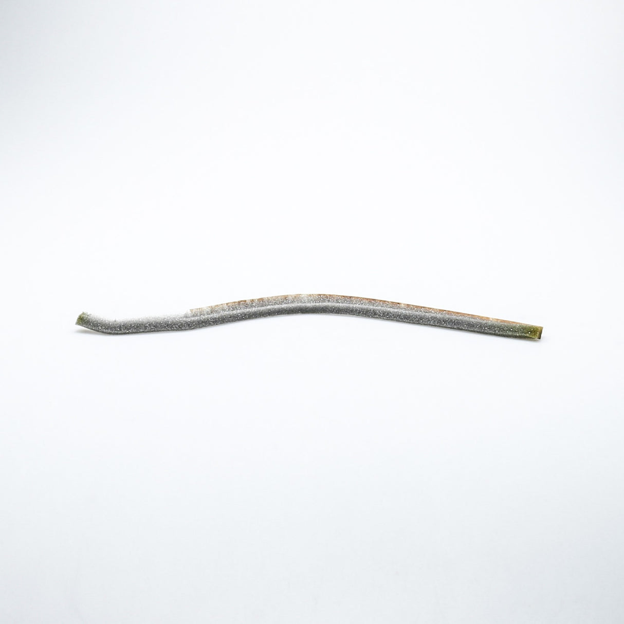 Whirlpool WP697813 Genuine OEM Seal