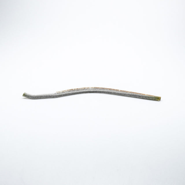 Whirlpool WP697813 Genuine OEM Seal