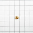 Whirlpool WPW10288153 Genuine OEM Screw