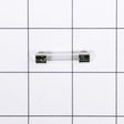 Whirlpool WP22001555 Genuine OEM Fuse