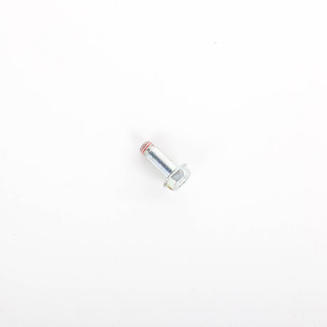 Whirlpool W11177574 Genuine OEM Screw