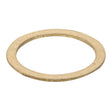 PlumbMaster Approved 12026P Brass Friction Ring