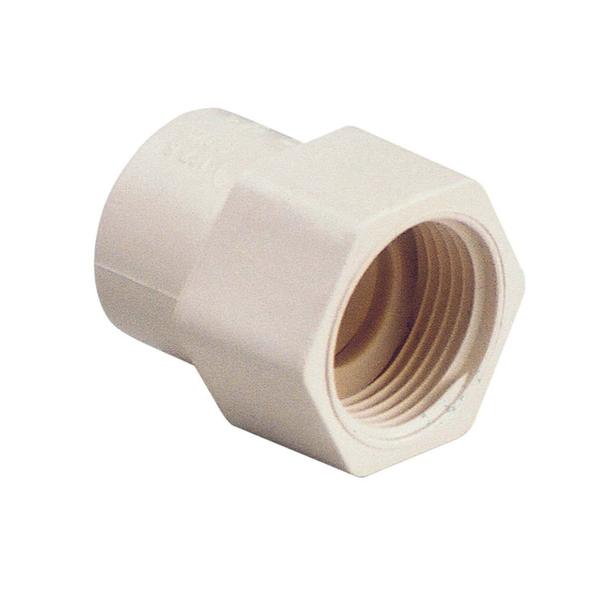NIBCO M024650 1/2" Slip x FIP CPVC Adapter