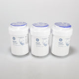 GE Refrigerator Filters MWFP3PK replacement part