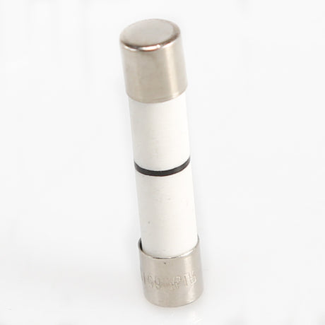 GE WB27X25389 Genuine OEM Fuse