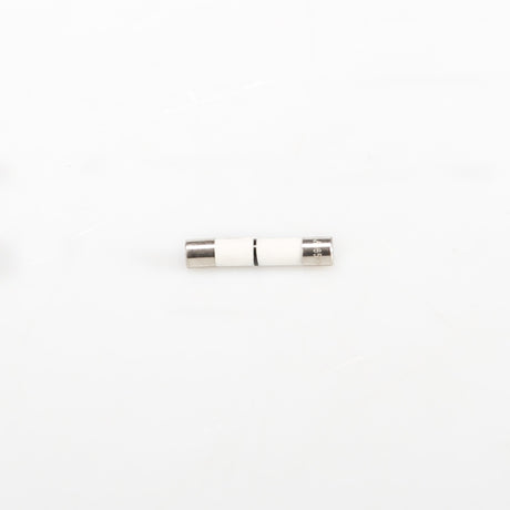 GE WB27X25389 Genuine OEM Fuse