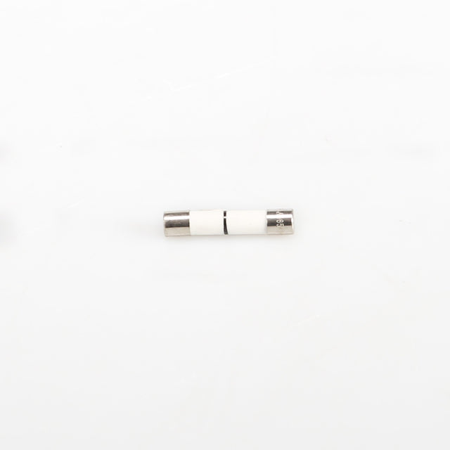 GE WB27X25389 Genuine OEM Fuse