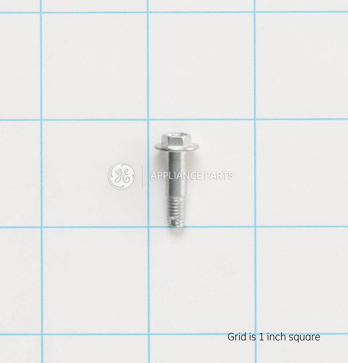 GE WD02X10206 Genuine OEM Pulley Screw.