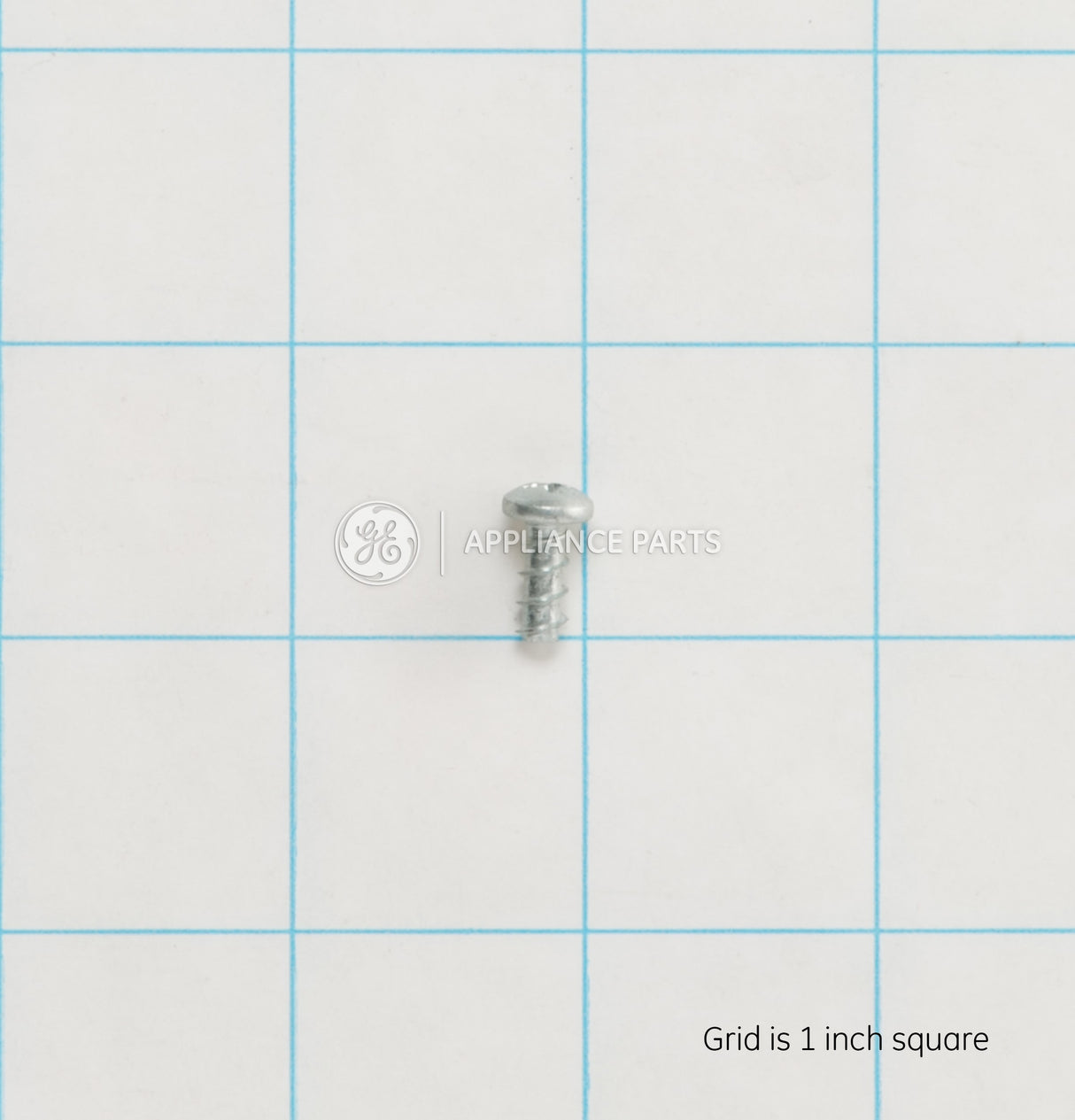 GE WE2M211 Genuine OEM Screw Front