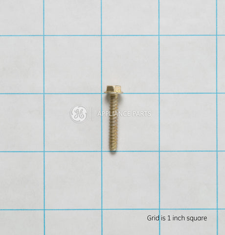 GE WH02X10282 Genuine OEM Scr 8-18 B Ihw 1 S