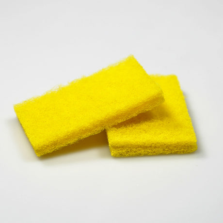 GE WX10X350 Genuine OEM Clean Pads 4