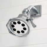 Speakman Shower Heads S-3019 replacement part