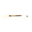 PlumbMaster Approved 40568 Solid Brass Closet Screw, 1/4" Diameter x 3" Length