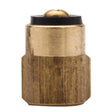 PlumbMaster Approved 16109NL Brass No-Lead Cold Plunger for Kohler Sink, Lavatory, Hospital, Valvet
