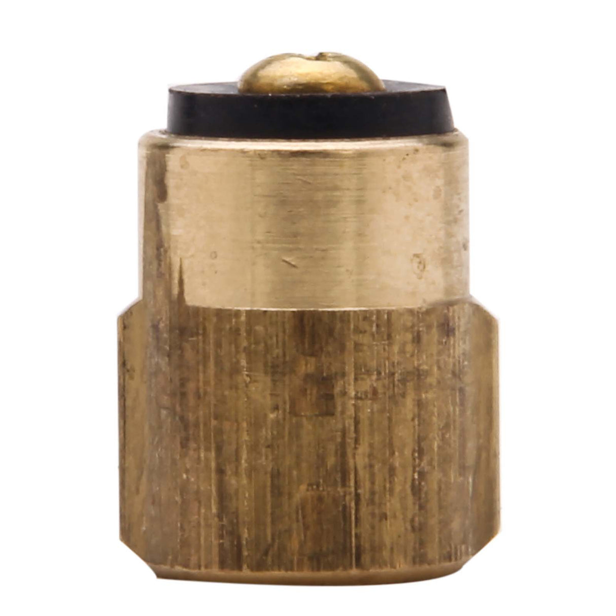 PlumbMaster Approved 16109NL Brass No-Lead Cold Plunger for Kohler Sink, Lavatory, Hospital, Valvet