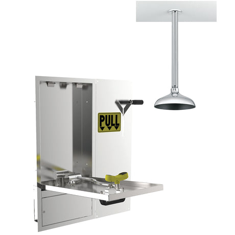 SE-575-DP-238 Wall Mounted Swing Down Laboratory Eye/face wash & Emergency Shower