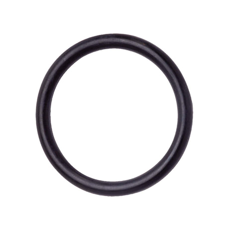 PlumbMaster Approved 35876 217N70 #96 O-Ring (Bulk)